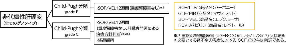 型非代償性肝硬変